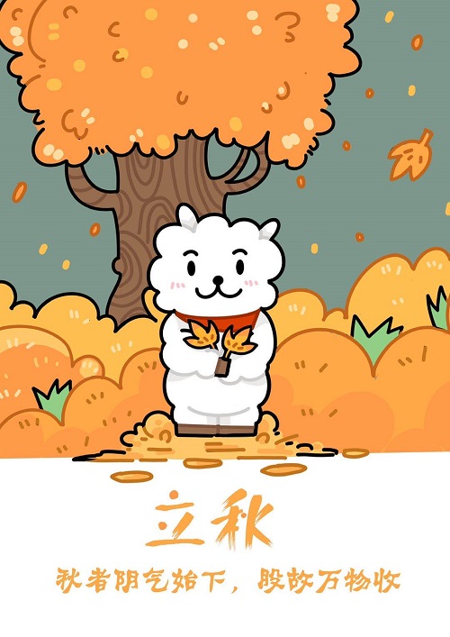 张晓婷.jpg