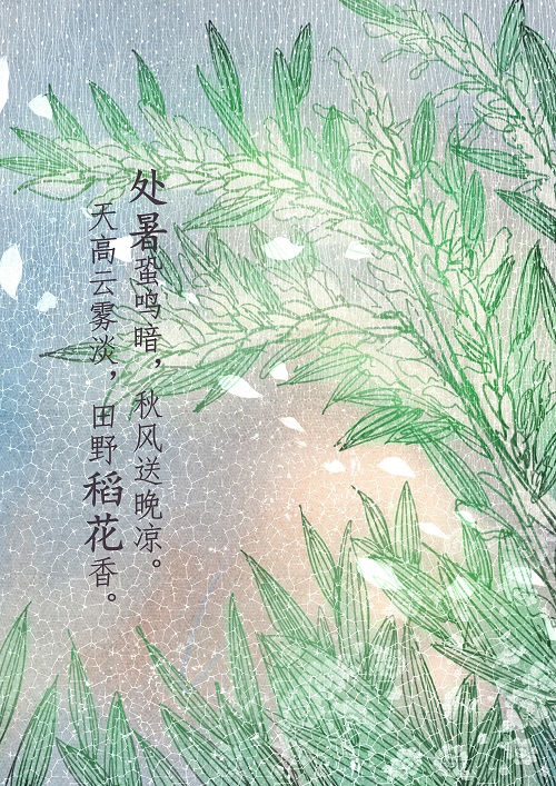 徐子星.jpg