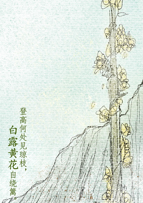 徐子星.jpg