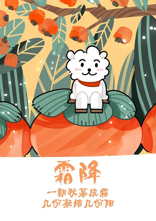 张晓婷.jpg