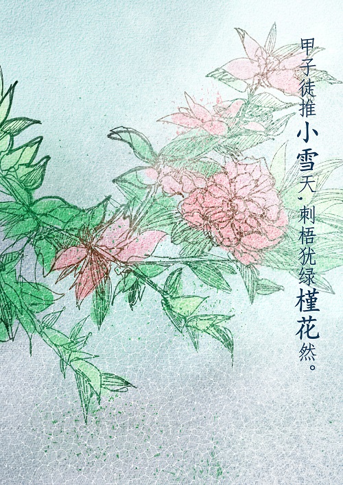 徐子星.jpg