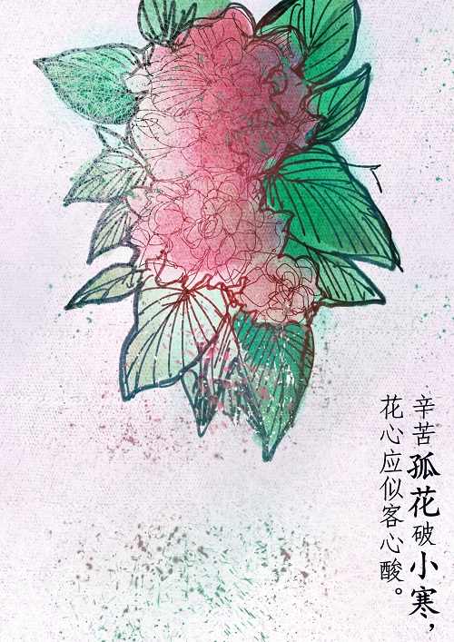 徐子星.jpg