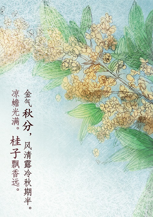 徐子星.jpg
