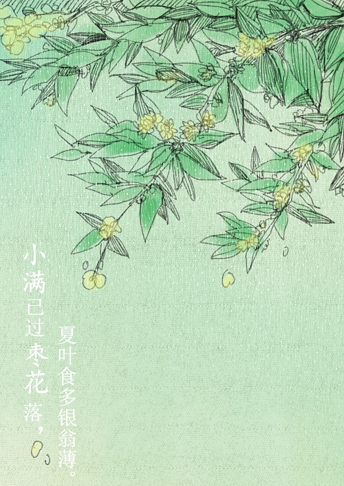 徐子星.jpg