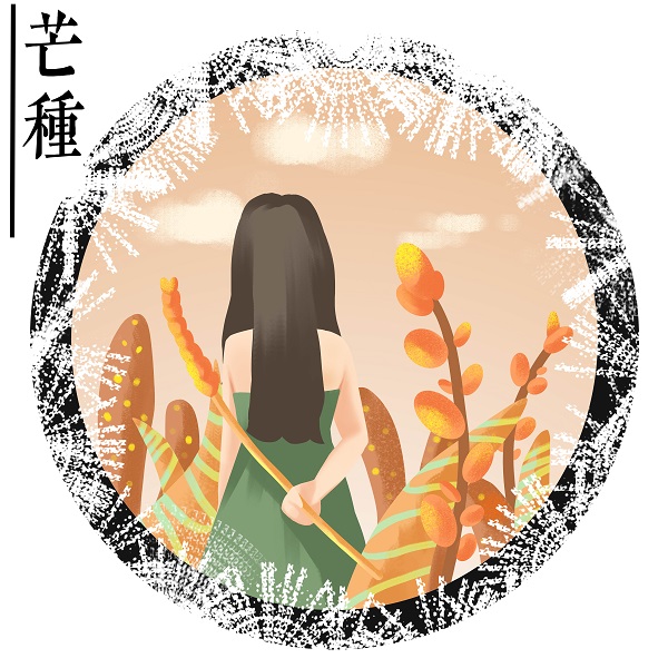 曹镇.jpg