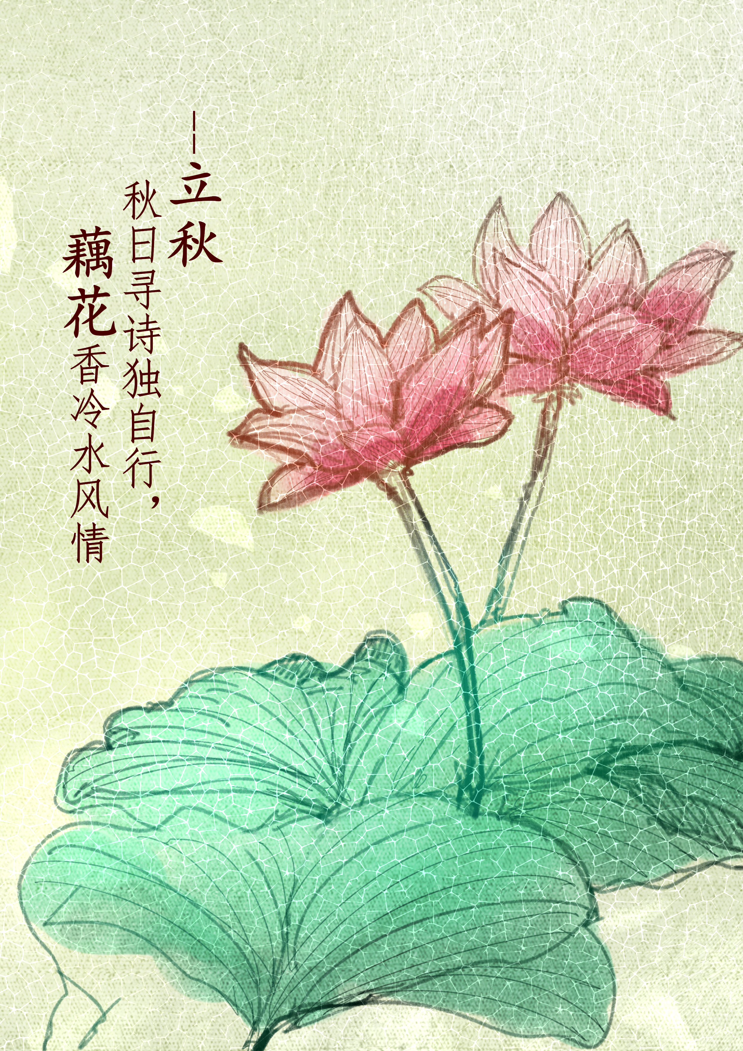 作者：徐子星