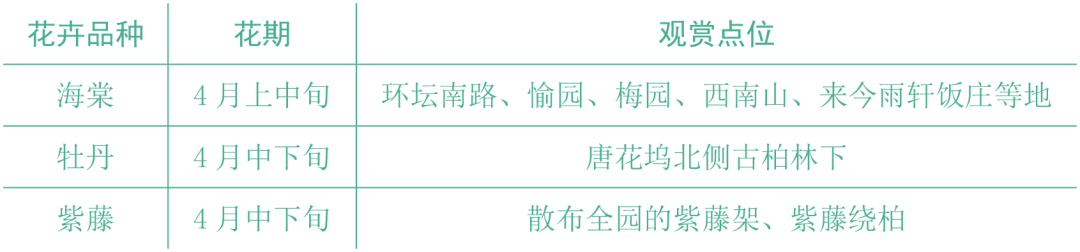 中山公园春花观赏推荐 中山公园春花观赏推荐