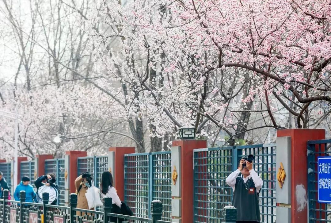 朝阳十里堡花景