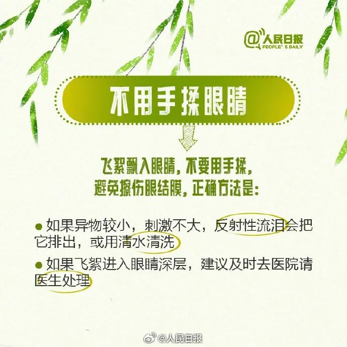 北京进入飞絮期 紧急提醒！