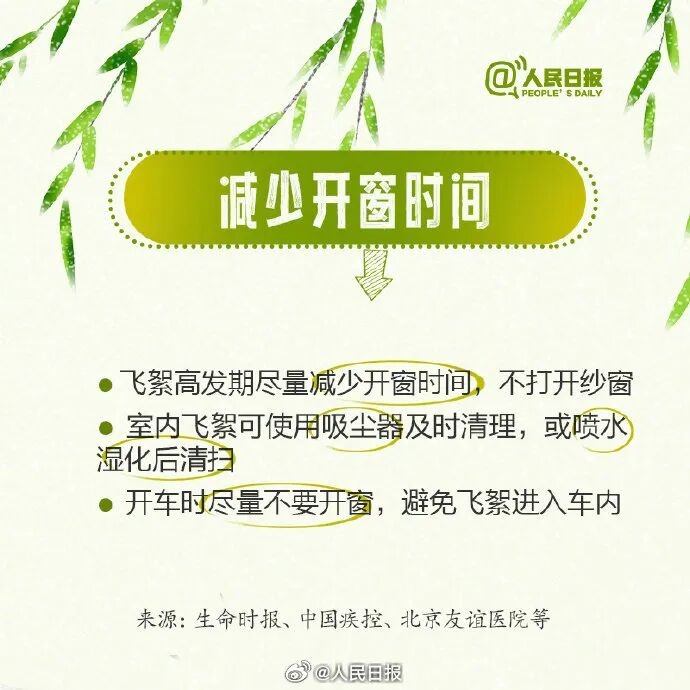 北京进入飞絮期 紧急提醒！