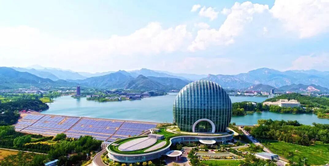 壮观！北京的高山杜鹃花开了，观赏期持续至“五一”假期！