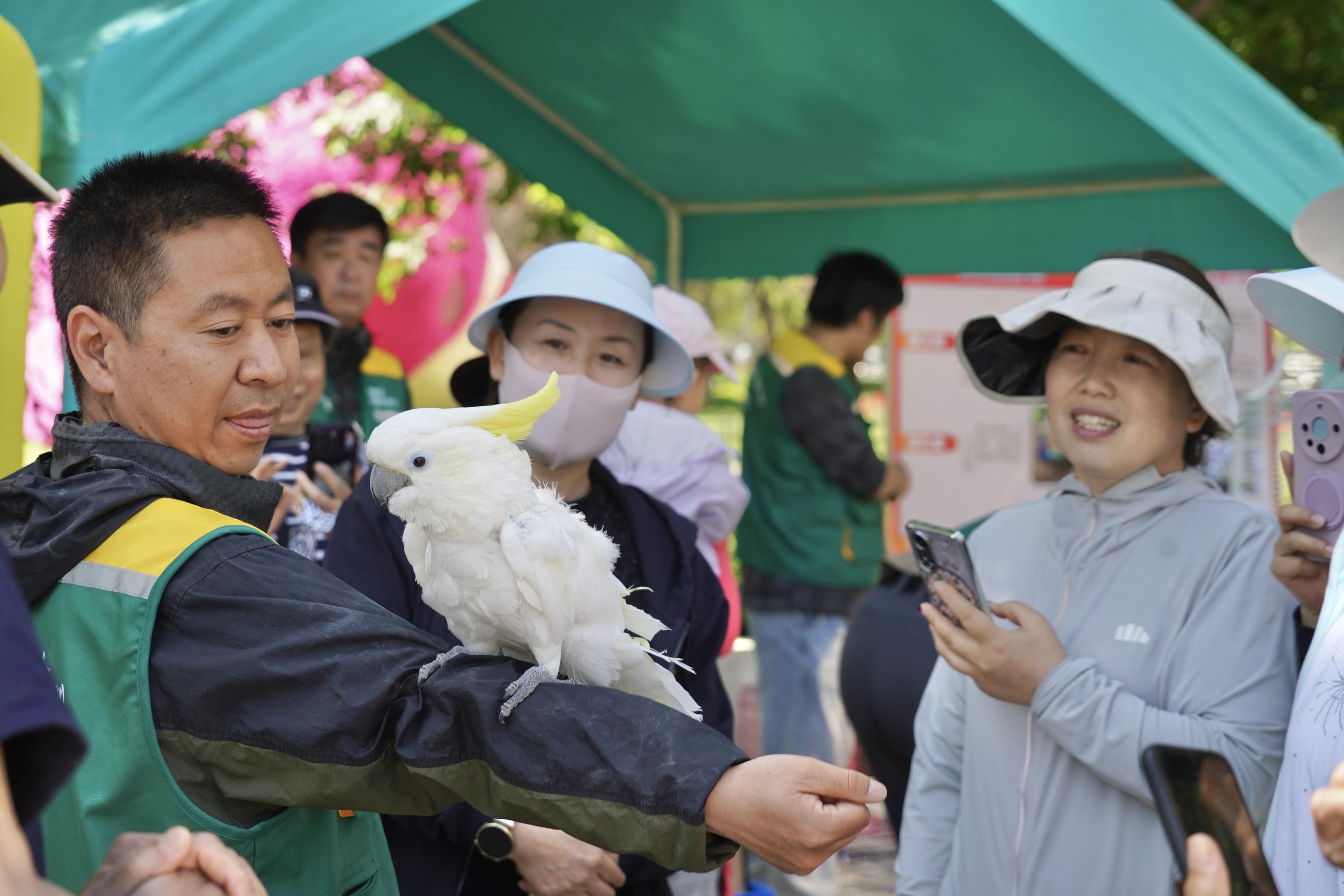 第三届北京朝阳花园节大望京公园月季AI科普嘉年华启幕 第三届北京朝阳花园节大望京公园月季AI科普嘉年华启幕