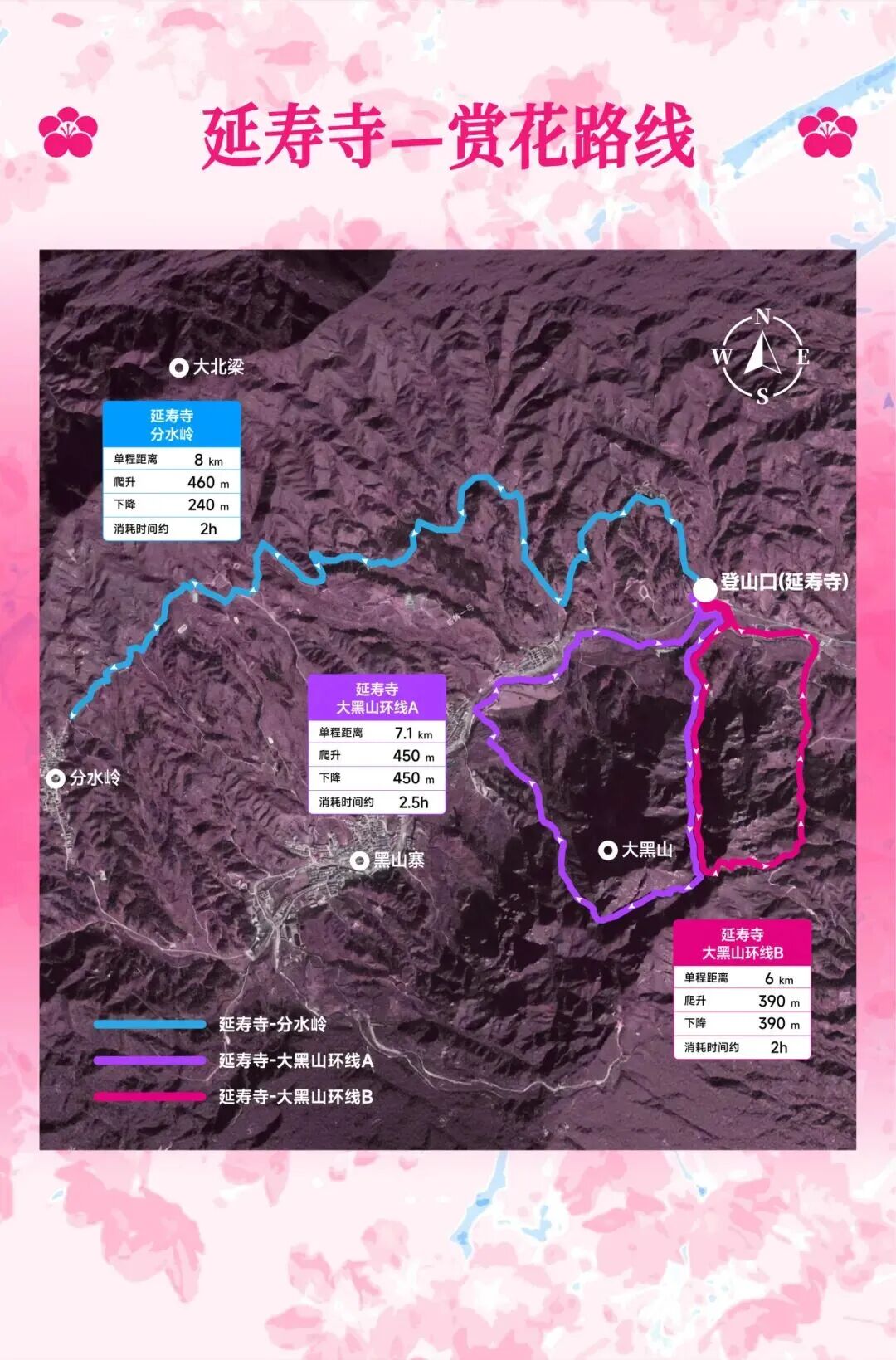 延寿最佳赏花期即将到来！解锁徒步&骑行赏花全指南