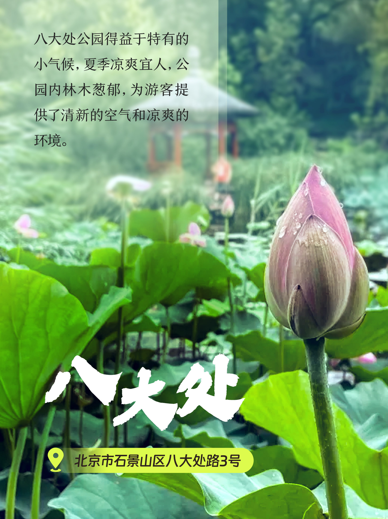 八大处公园