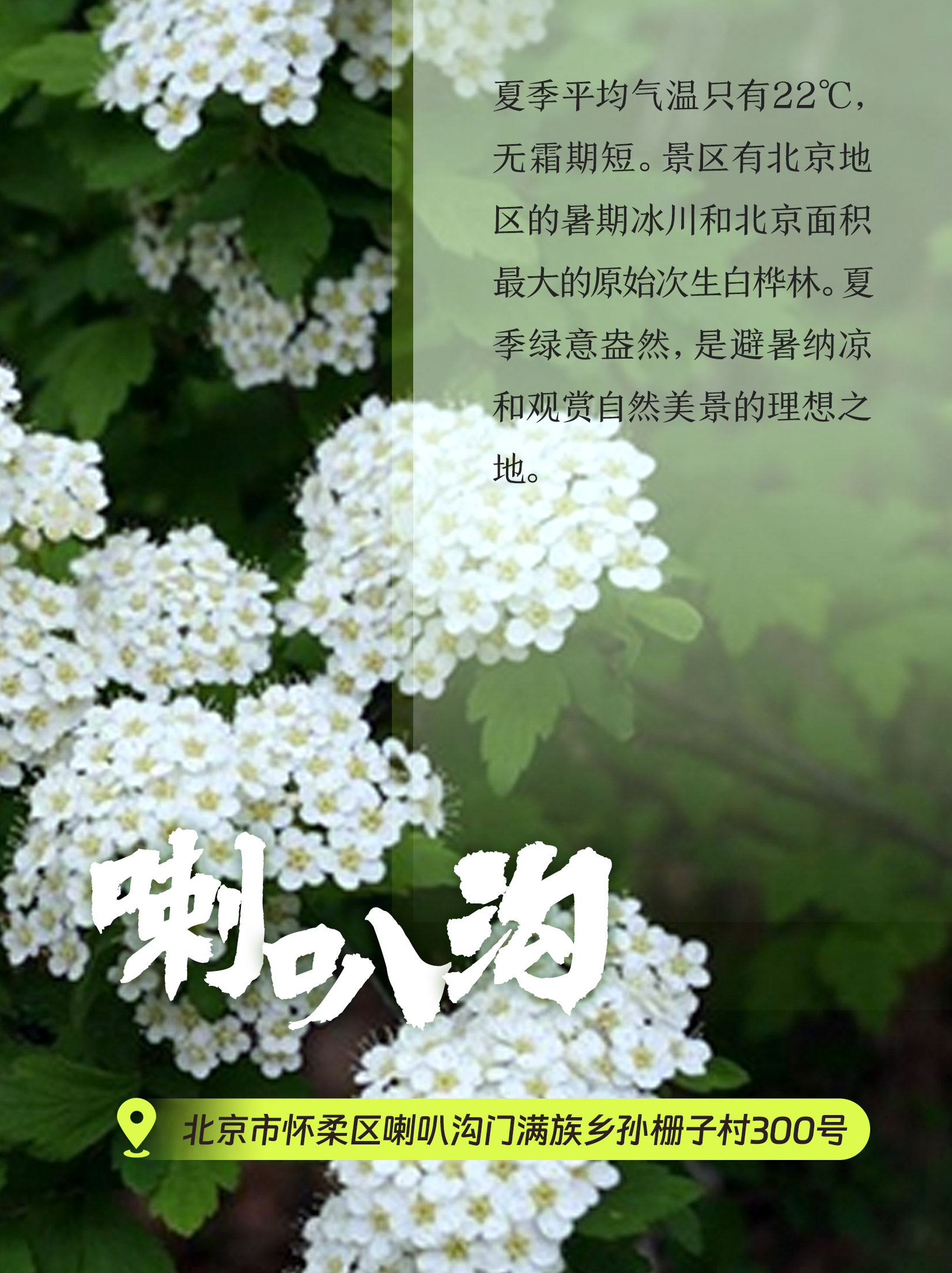 北京喇叭沟原始森林公园