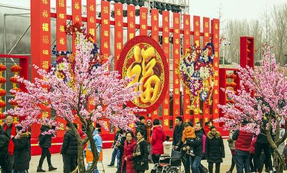 第二届平谷春节文化庙会