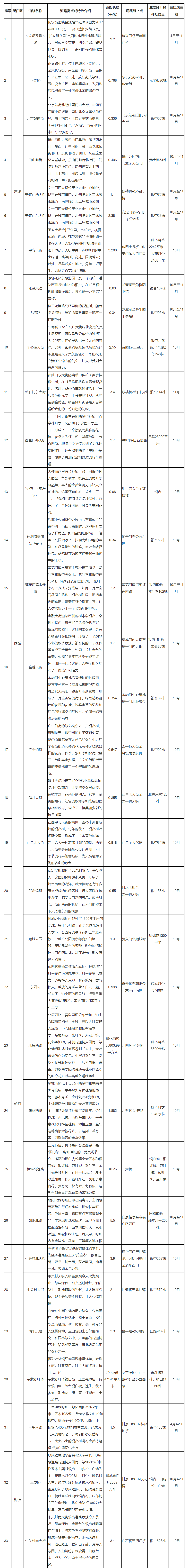 最美金秋路