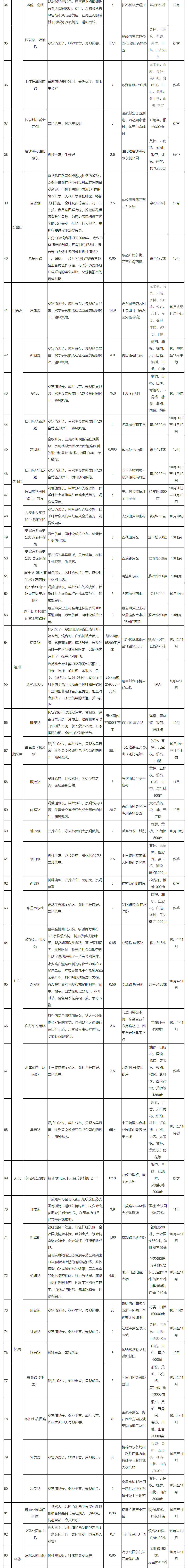 最美金秋路