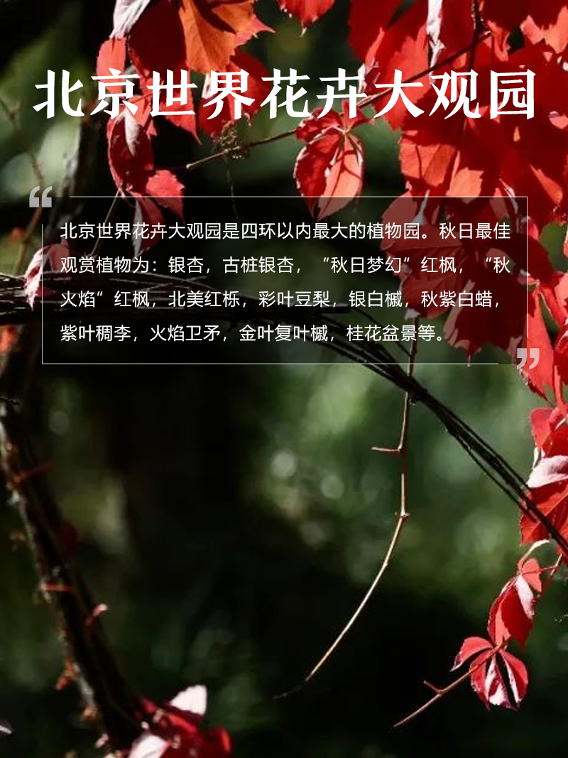 北京世界花卉大观园