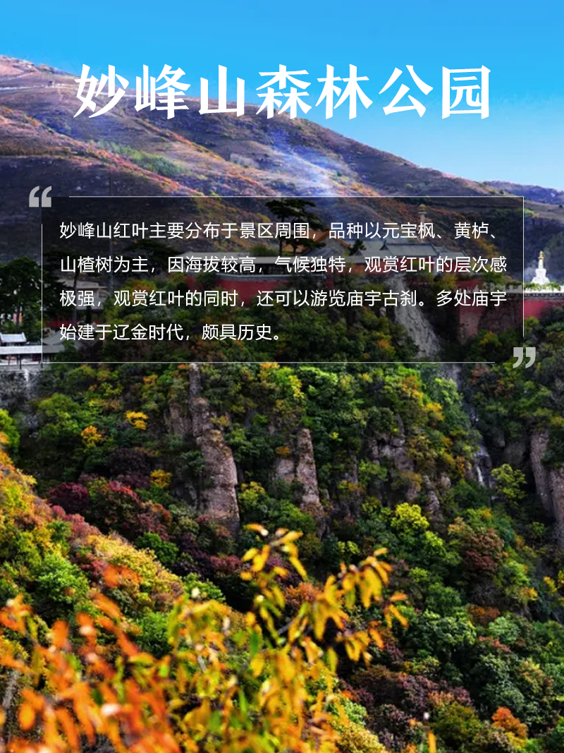 妙峰山森林公园