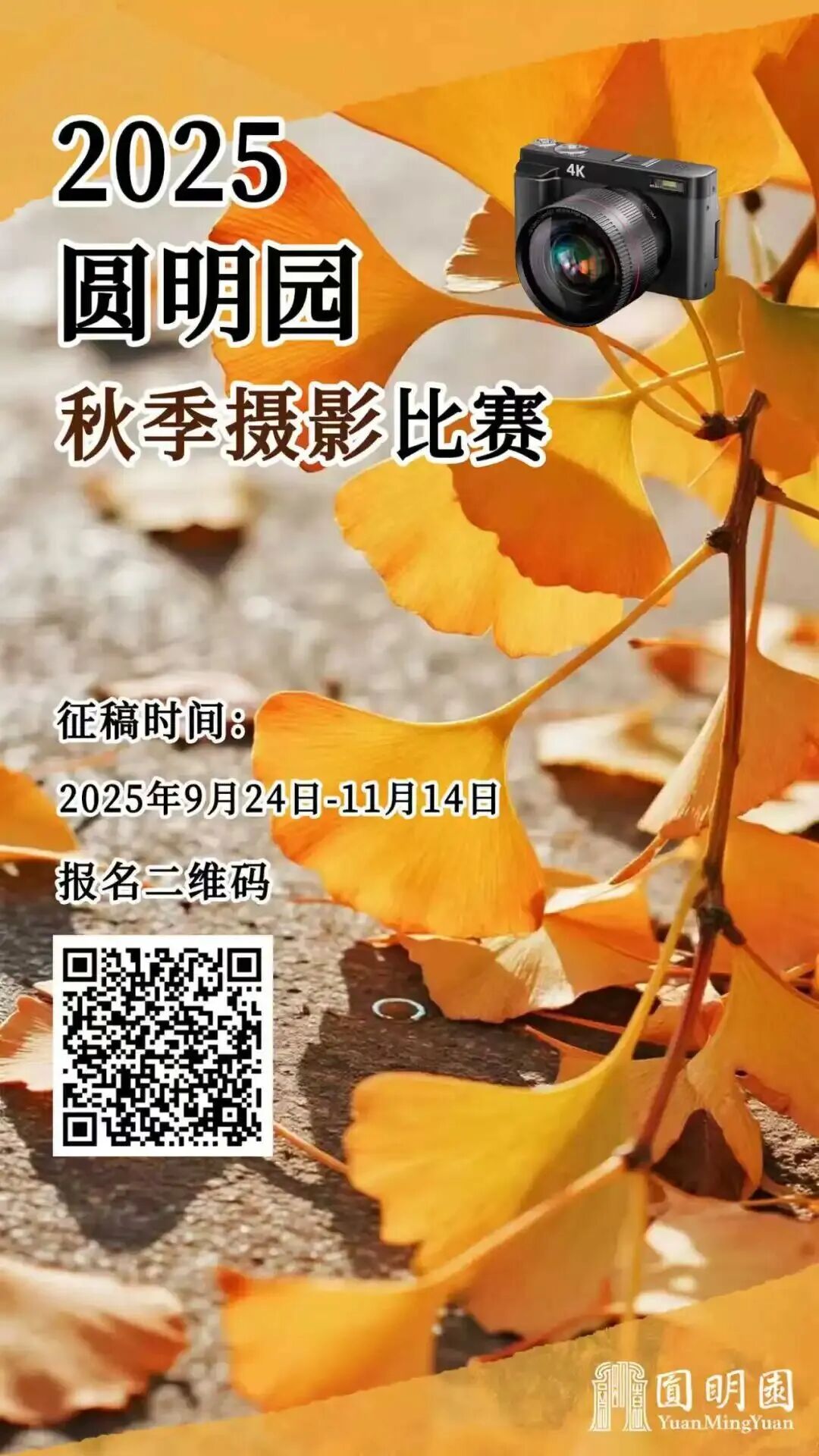 秋景“天花板” 北京这些银杏大道即将迎来最佳观赏期