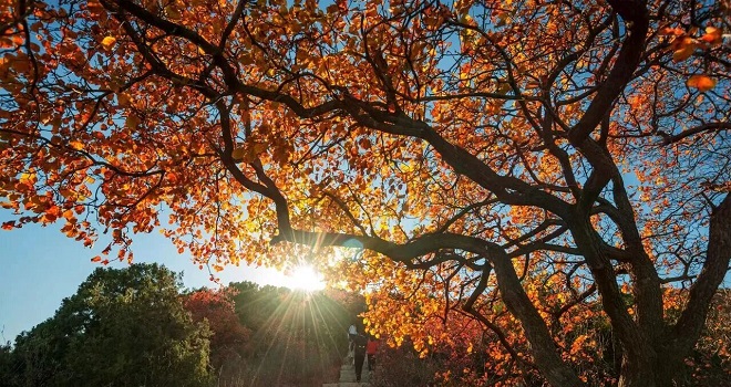 秋日宜登高 宝藏登山赏秋路线推荐