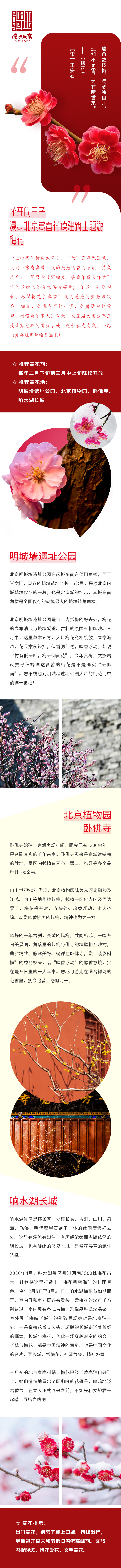 3梅花.jpg