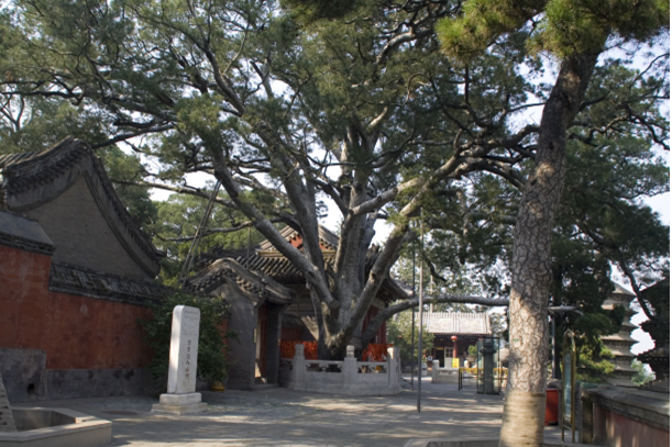 西山永定河文化带：古寺文化