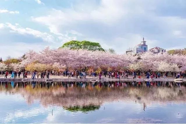 周末去哪儿 | 赏花踏青 3月带娃去哪些地方最适合？