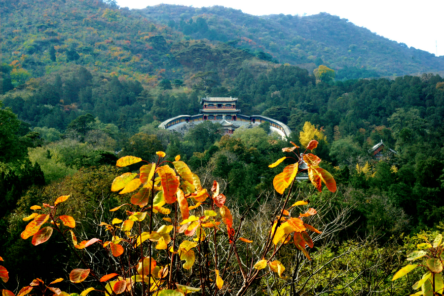 香山 静宜园