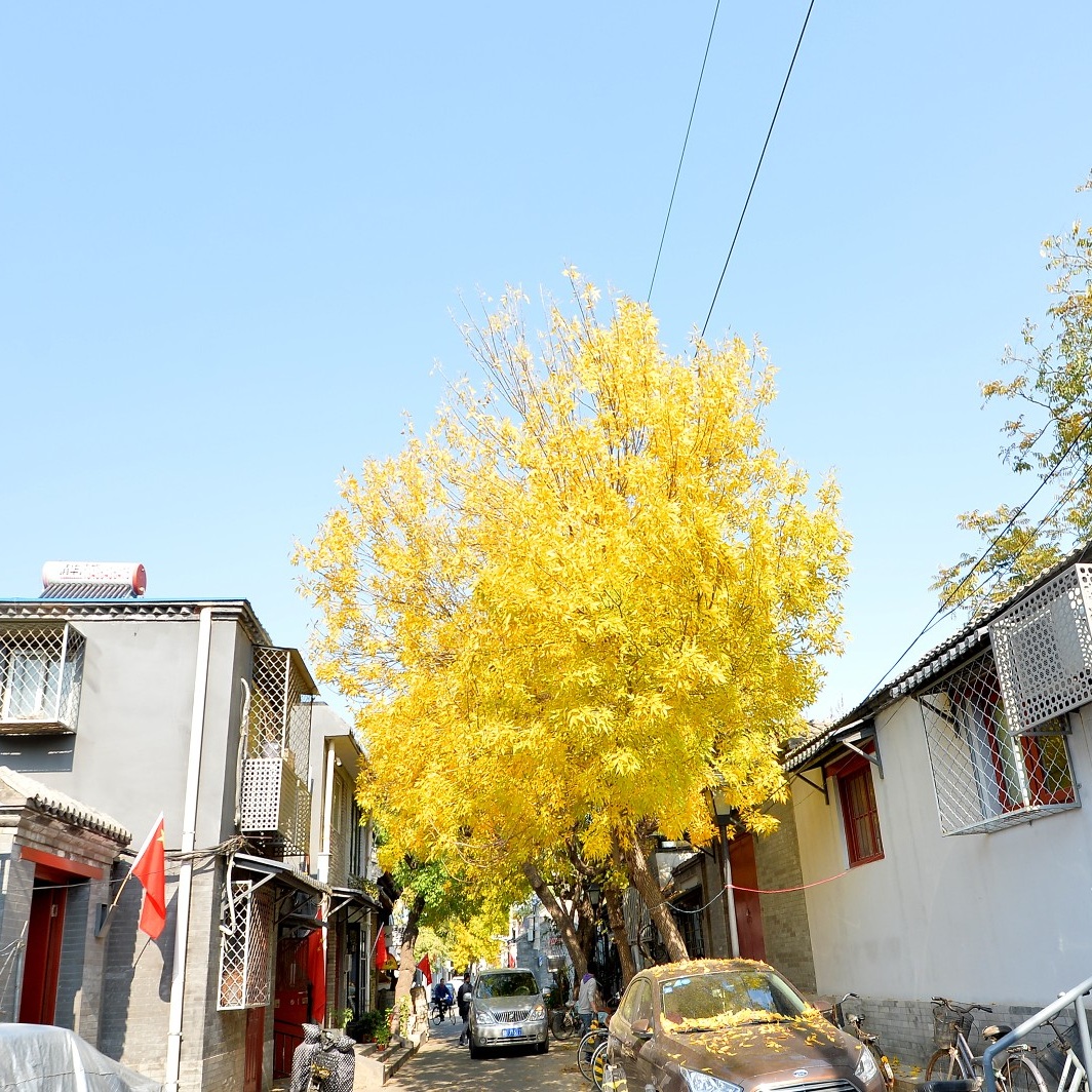 漫步宝钞胡同