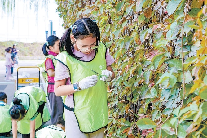孩子们在北京科学中心参与户外科学教育活动。