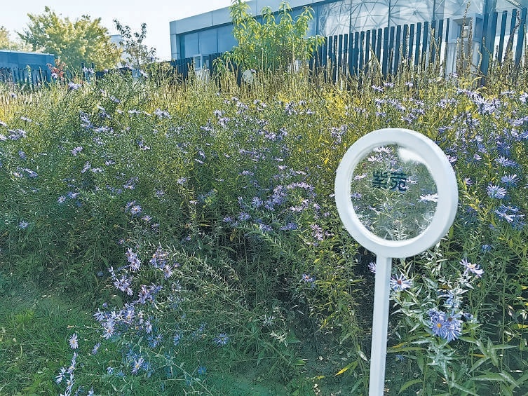 花园各处巧妙设置展示牌，向参观者传播花卉种类等知识。