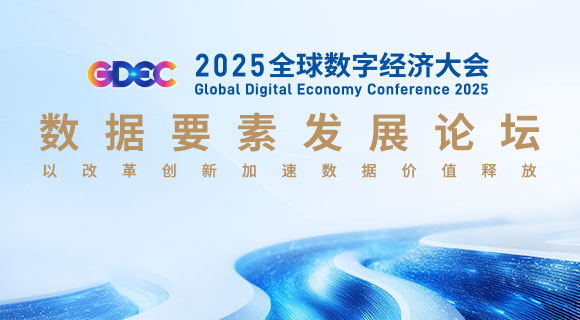 2025全球数字经济大会数据要素发展论坛