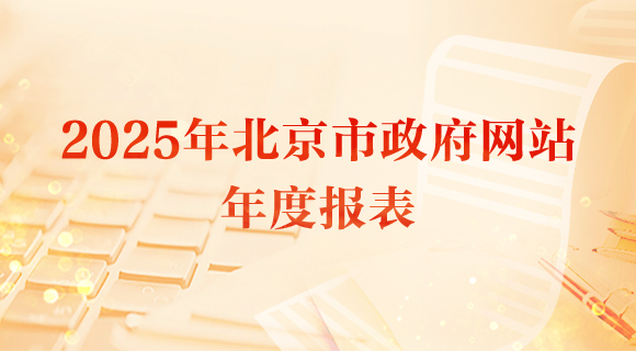 2025年北京市政府网站年度报表