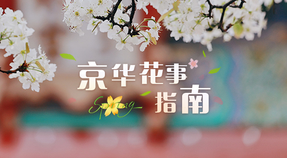 京华花事指南