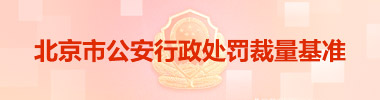 北京市公安行政处罚裁量基准