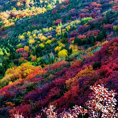 醉美京郊 舞彩浅山