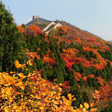 重温北京金秋美景