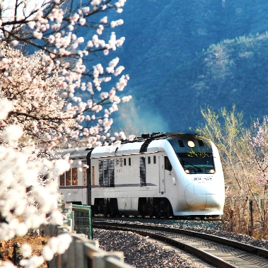 昌平区秀美风光