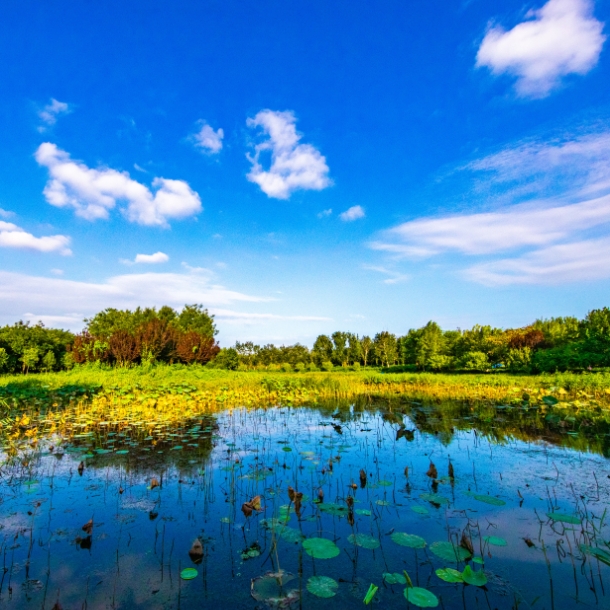 来丰台登高望远 看北京高颜值“冷涡蓝”