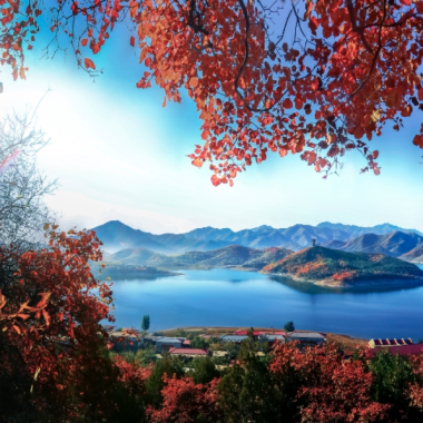 金海湖：碧水红叶 美翻金秋