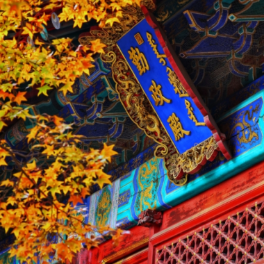 深秋醉人 尽赏京城秋色