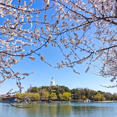 北海春韵