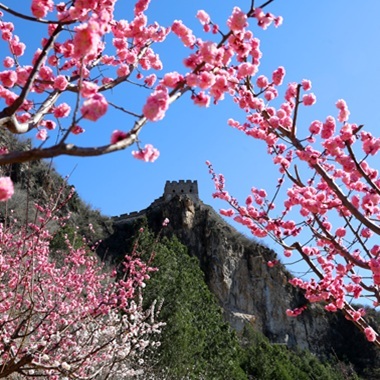 踏青怀柔 山间春至
