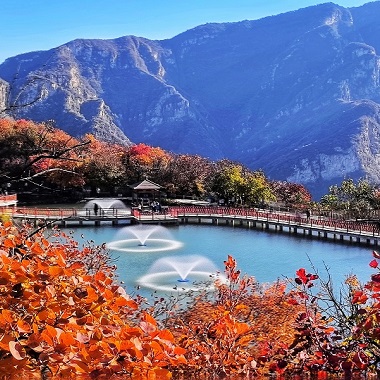 坡峰岭红叶正染秋山浓