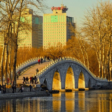 冬至时节 玉渊潭堤桥“金光穿洞”