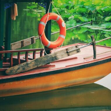 紫竹院公园的“荷花渡”