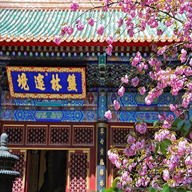 繁花似锦 春满植物园