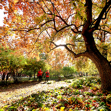 北京天坛公园秋色宜人